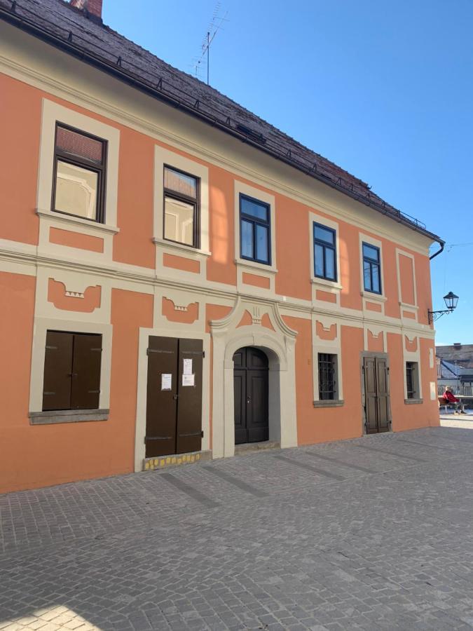 Bella Donna Apartment Maribor Bagian luar foto