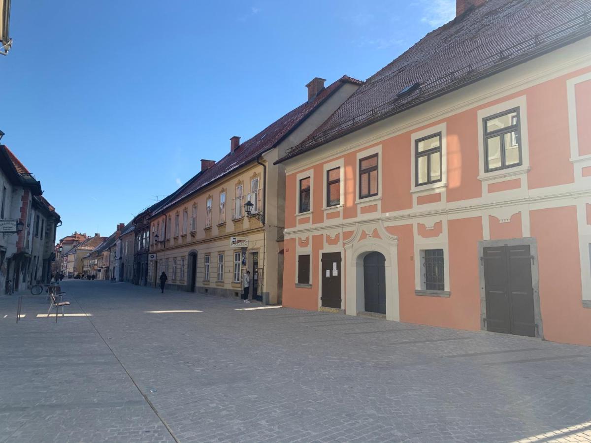 Bella Donna Apartment Maribor Bagian luar foto